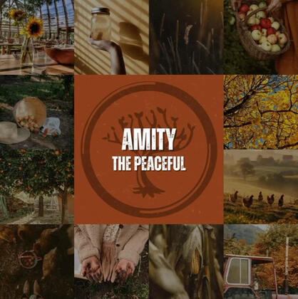 Amity